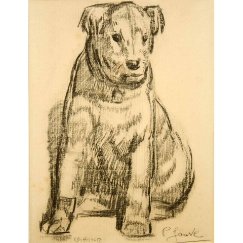 Le chien Bibine, vers 1948.