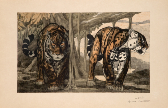 Paul JOUVE (1878-1973) - Deux jaguars