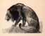 Paul JOUVE (1878-1973) - Lion guettant 1925