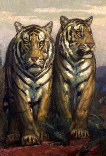 Paul JOUVE (1878-1973) - Tigres de face, à l'arrêt.